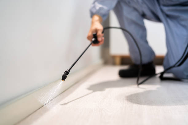 Licensed Termite Control service in Northwest Hills Planning Region County, CT - Nex Pest Control