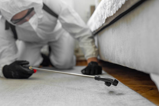 Professional Termite Control technician working in Northwest Hills Planning Region County, CT